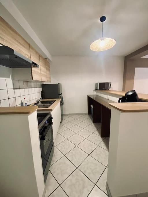 Appartement Au Centre-Ville Avec Cour Langres Kültér fotó